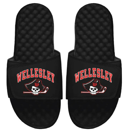 Wellesley Slides