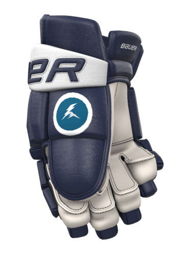 Summit Youth Hockey Bauer Vapor Elite Team Gloves