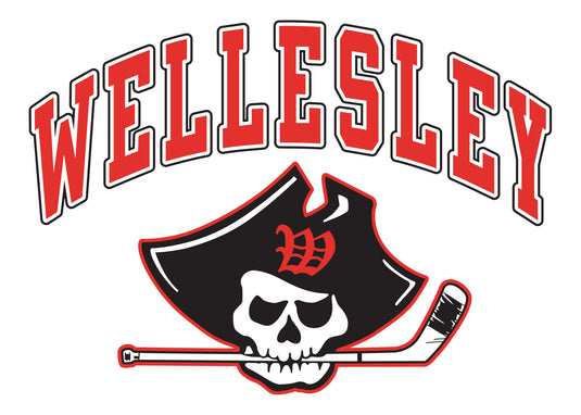 Wellesley Pins- Sale!