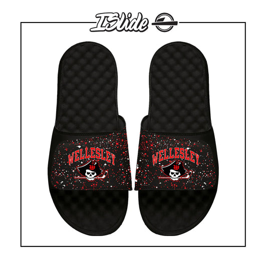 Wellesley Slides