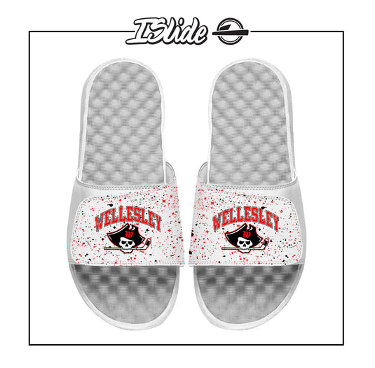 Wellesley Slides